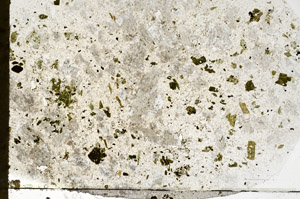 Plane Polarized, S77666