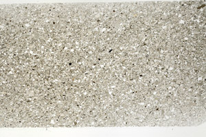 Plane Polarized, S77778