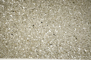 Plane Polarized, S77789