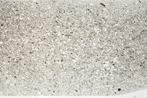 Plane Polarized, S77815