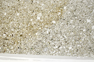 Plane Polarized, S77822