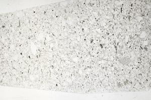 Plane Polarized, S77881