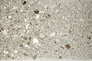 Plane Polarized, S77893