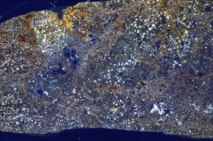 Cross Polarized, S77910