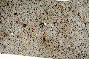 Plane Polarized, S77911