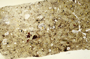 Plane Polarized, S77950