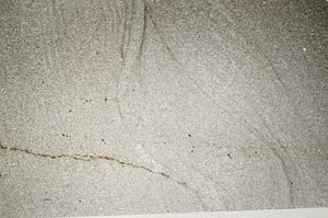 Plane Polarized, S77984