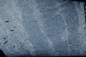 Cross Polarized, S78014