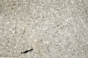 Plane Polarized, S78019
