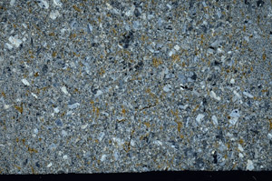 Cross Polarized, S78035