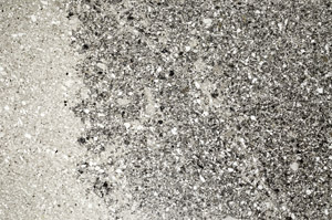 Plane Polarized, S78056