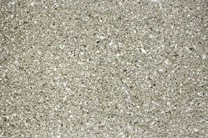 Plane Polarized, S78061