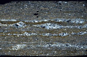 Cross Polarized, S78071