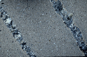 Cross Polarized, S78082