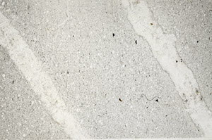 Plane Polarized, S78082