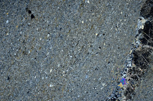 Cross Polarized, S78086/A