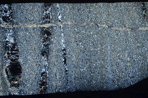Cross Polarized, S78086/B