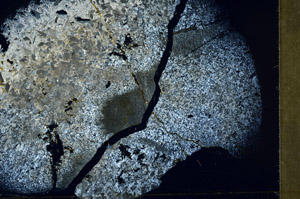 Cross Polarized, S78089