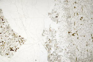 Plane Polarized, S78095/A
