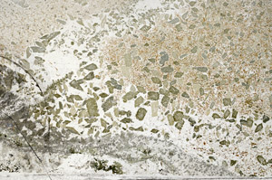 Plane Polarized, S78096