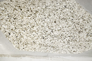 Plane Polarized, S78104