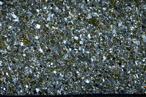 Cross Polarized, S78105/A