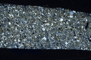 Cross Polarized, S78105/B