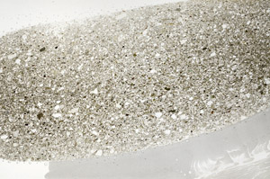 Plane Polarized, S78107