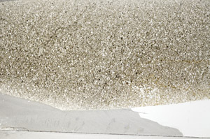 Plane Polarized, S78109