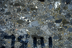 Cross Polarized, S78111