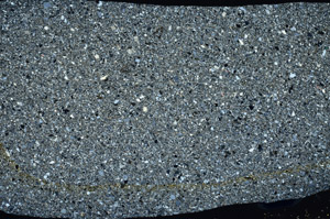 Cross Polarized, S78113