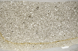 Plane Polarized, S78113