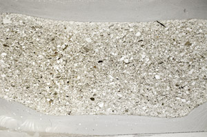 Plane Polarized, S78115