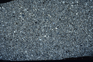 Cross Polarized, S78116