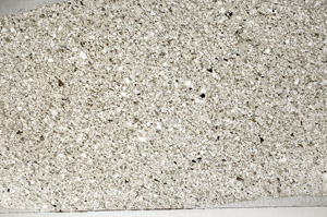 Plane Polarized, S78116