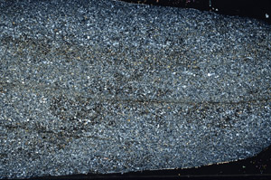 Cross Polarized, S78121