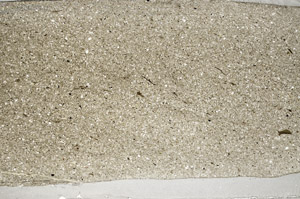 Plane Polarized, S78138