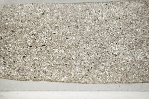 Plane Polarized, S78139