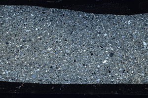 Cross Polarized, S78140