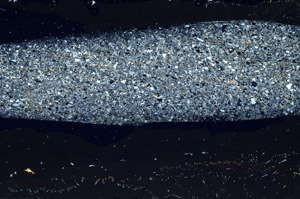 Cross Polarized, S78141