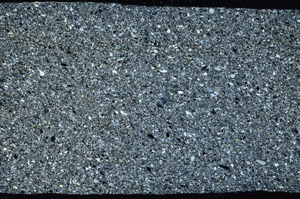 Cross Polarized, S78143