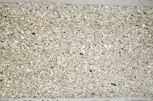 Plane Polarized, S78143