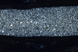 Cross Polarized, S78146