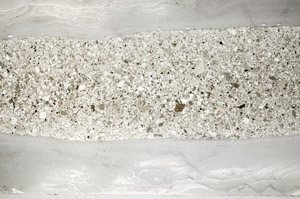 Plane Polarized, S78146