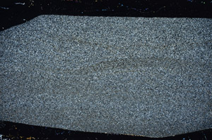 Cross Polarized, S78147