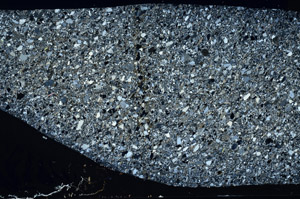 Cross Polarized, S78148