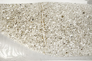 Plane Polarized, S78148