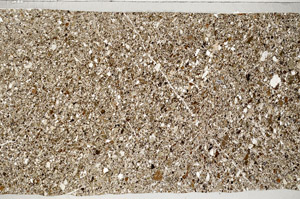 Plane Polarized, S78149