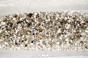 Plane Polarized, S78150