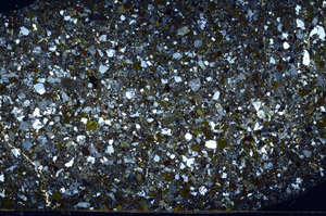 Cross Polarized, S78150/A